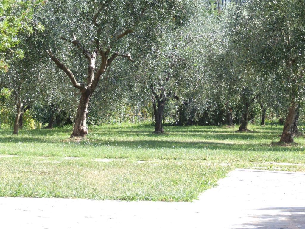 Appartamenti Borgo San Pietro Deiva Marina Exterior photo